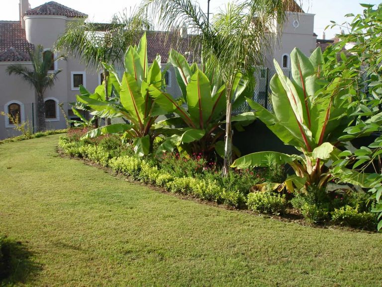 Urbanizacion Single Home El paraiso