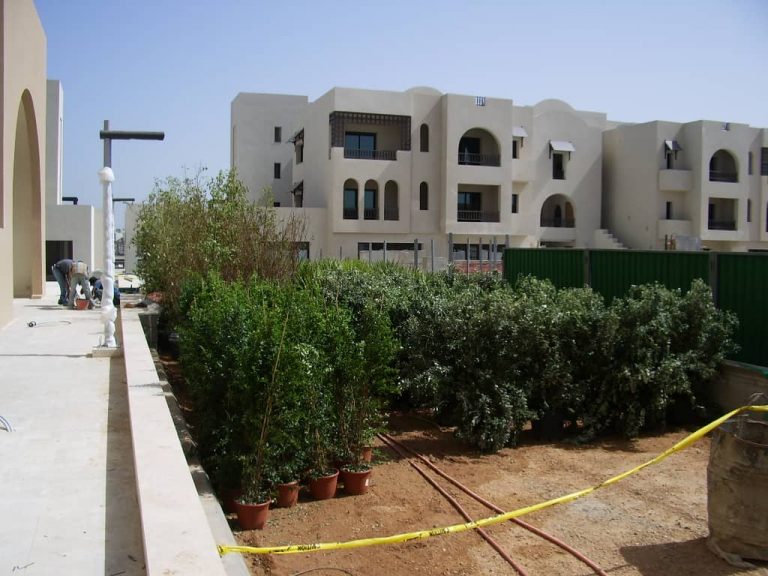 Four Point by Sheraton Tripoli Acopio de plantas